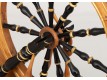 Spinning wheel