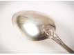 Spoons (12 items)