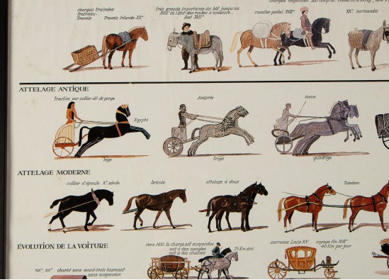 Reproduction