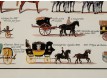 Reproduction