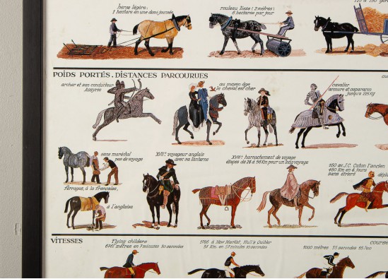 Reproduction