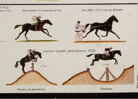 Reproduction