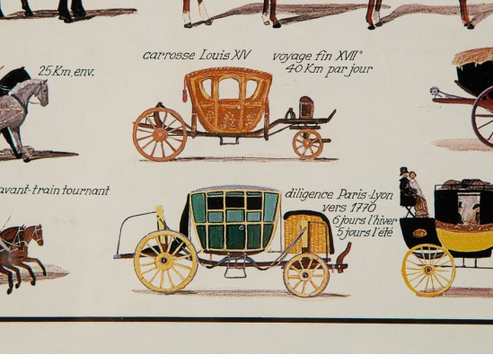 Reproduction