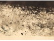 Engraving