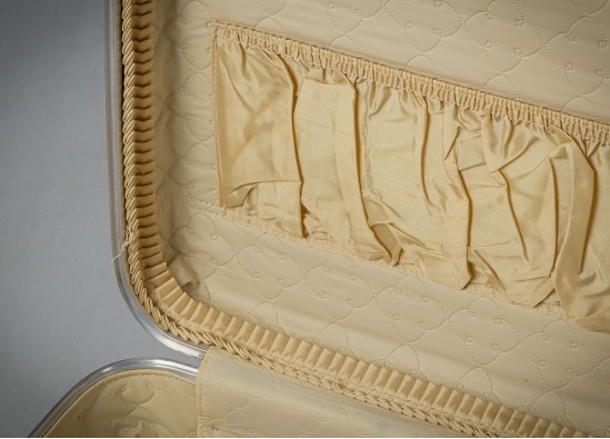 Briefcases (3 items.)