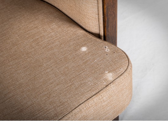 Old - Fashioned Bench