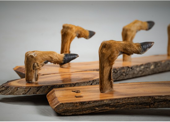 Interjero detalė - Sieninis Laikiklis